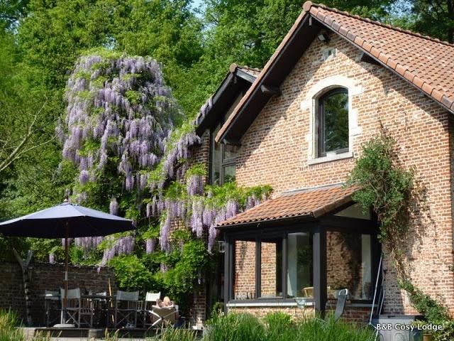 Cosy Lodge Дилбек Экстерьер фото